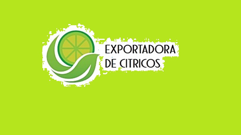 Logo - Exportadora de Cítricos de Acateno